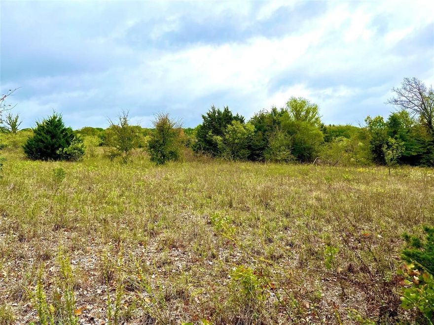 Discover your own slice of Texas paradise on this sprawling 51-acre Cooke County gem! This beautiful property has an existing wildlife exemption, a harmonious blend of trees and cleared spaces, and endless possibilities. Whether you dream of building your dream home or creating a private retreat, this is your canvas to make it a reality. Immerse yourself in the natural beauty, with abundant wildlife and beautiful surroundings . The property's gentle terrain offers picturesque views, making it perfect for hunting, recreational activities, or simply enjoying the tranquility of country living. Don't miss the opportunity to own this remarkable 51-acre sanctuary in Cooke County, Texas. Contact Realtor Mike Morris at 940-231-7387 or mmorris@mossyoakproperties.com