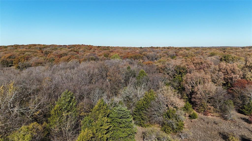 Lindheimer Fj - Land