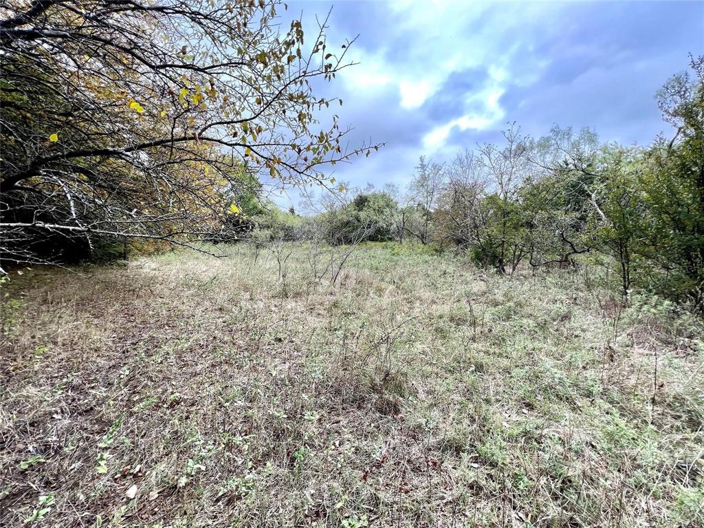 Lindheimer Fj - Land