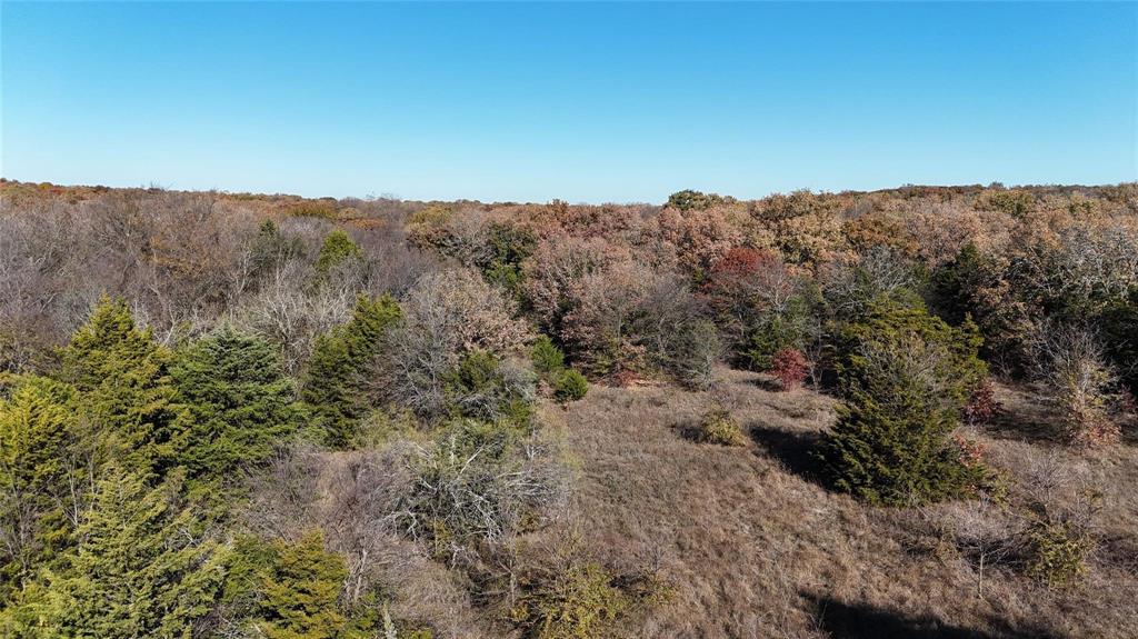 Lindheimer Fj - Land