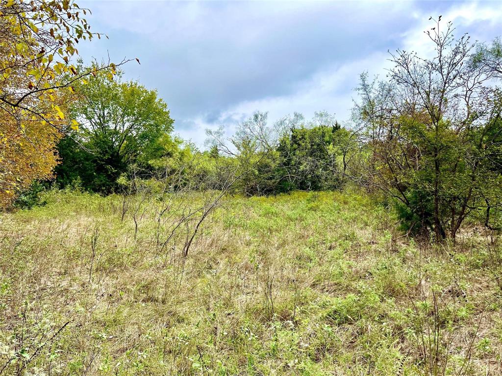 Lindheimer Fj - Land