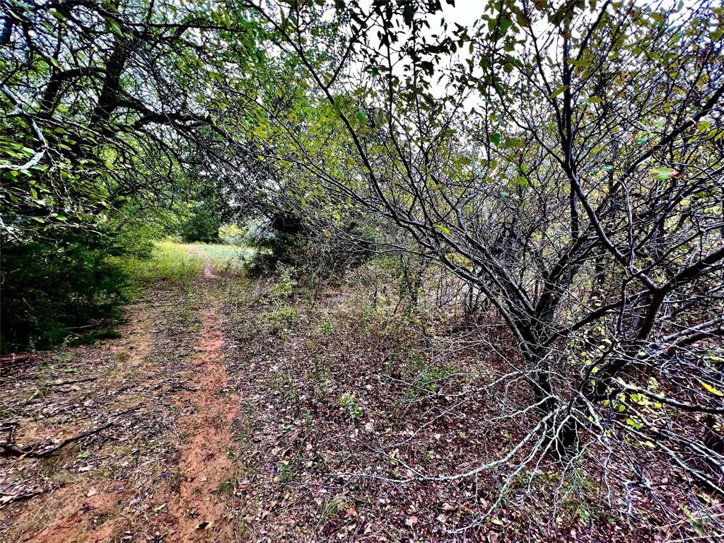 Lindheimer Fj - Land