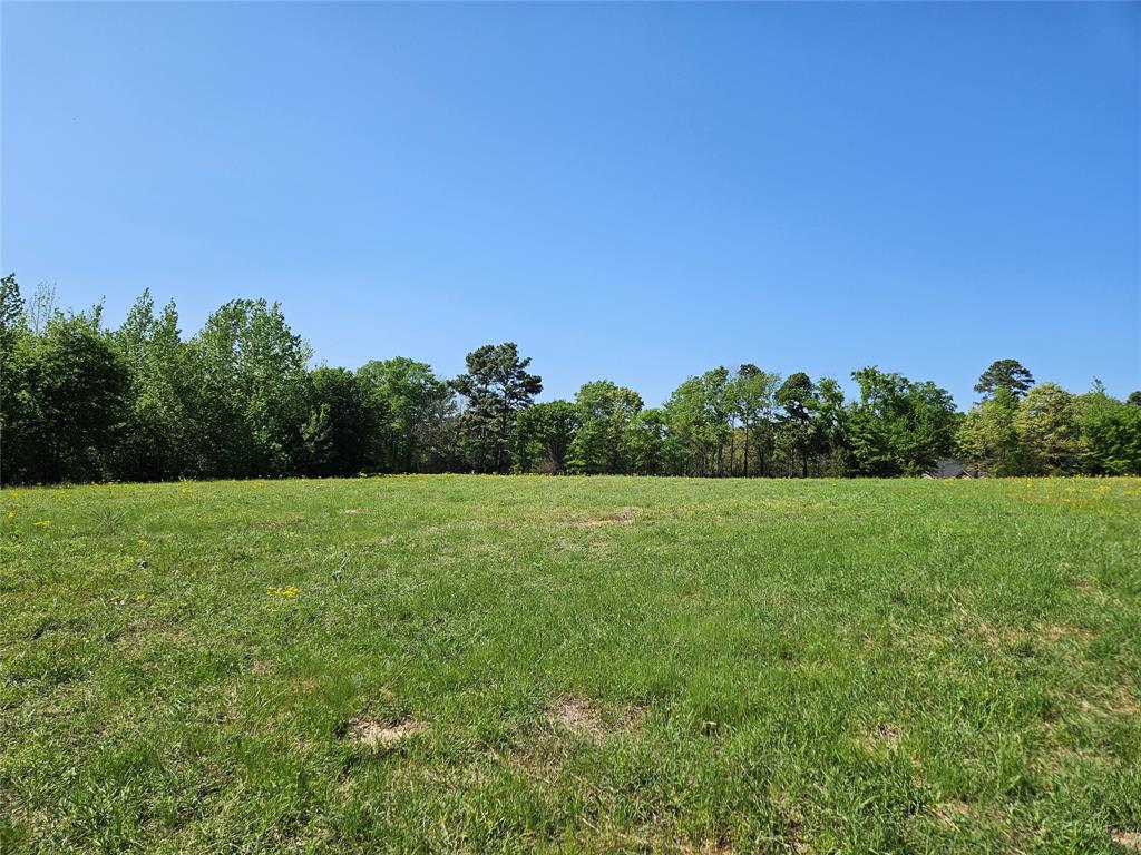 19020 Homestead Lot 3 FM 317