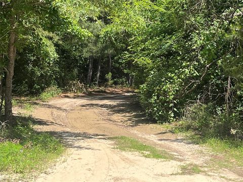 99999 CR 207 Centerville TX 75833