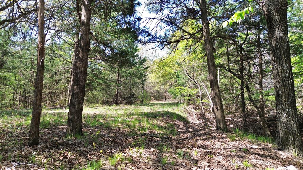 T Thomas 1240 - Land