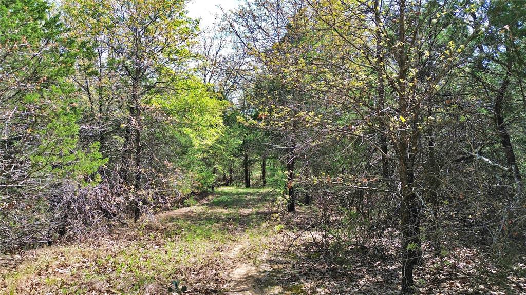 T Thomas 1240 - Land