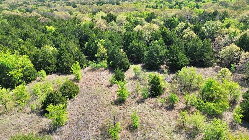 T Thomas 1240 - Land