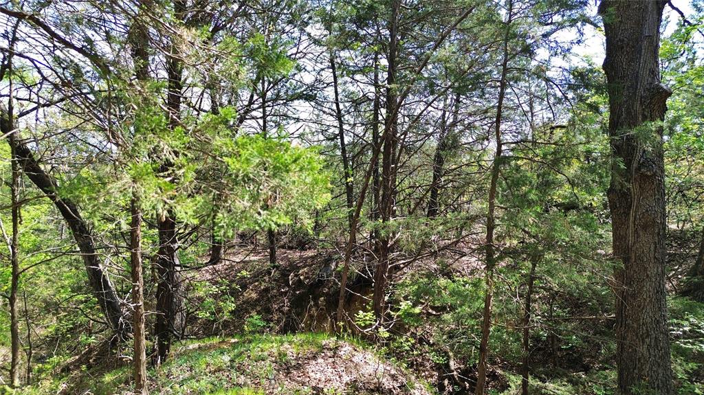 T Thomas 1240 - Land