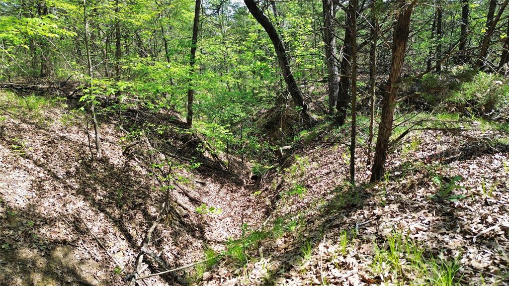 T Thomas 1240 - Land