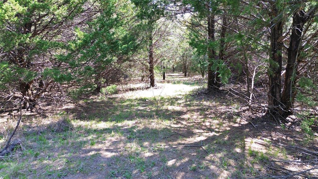 T Thomas 1240 - Land