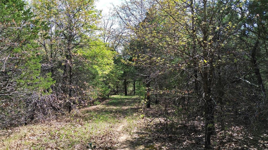 T Thomas 1240 - Land