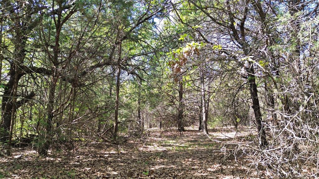 T Thomas 1240 - Land