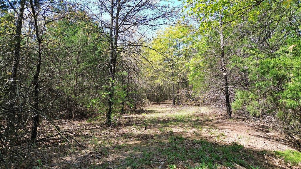 T Thomas 1240 - Land