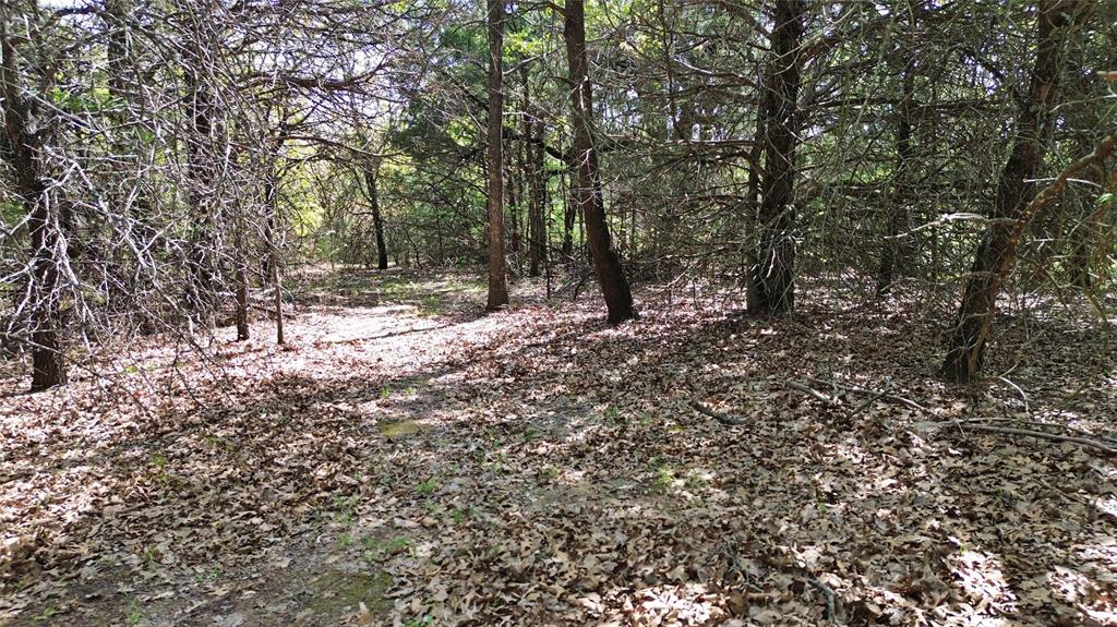 T Thomas 1240 - Land