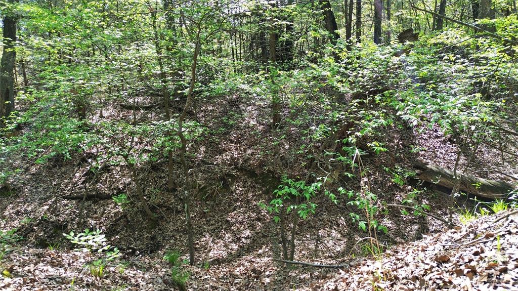 T Thomas 1240 - Land