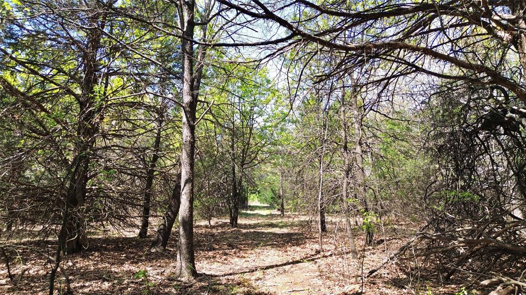 T Thomas 1240 - Land