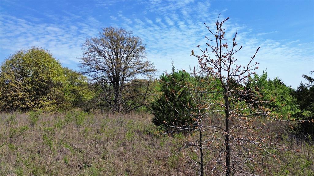 T Thomas 1240 - Land