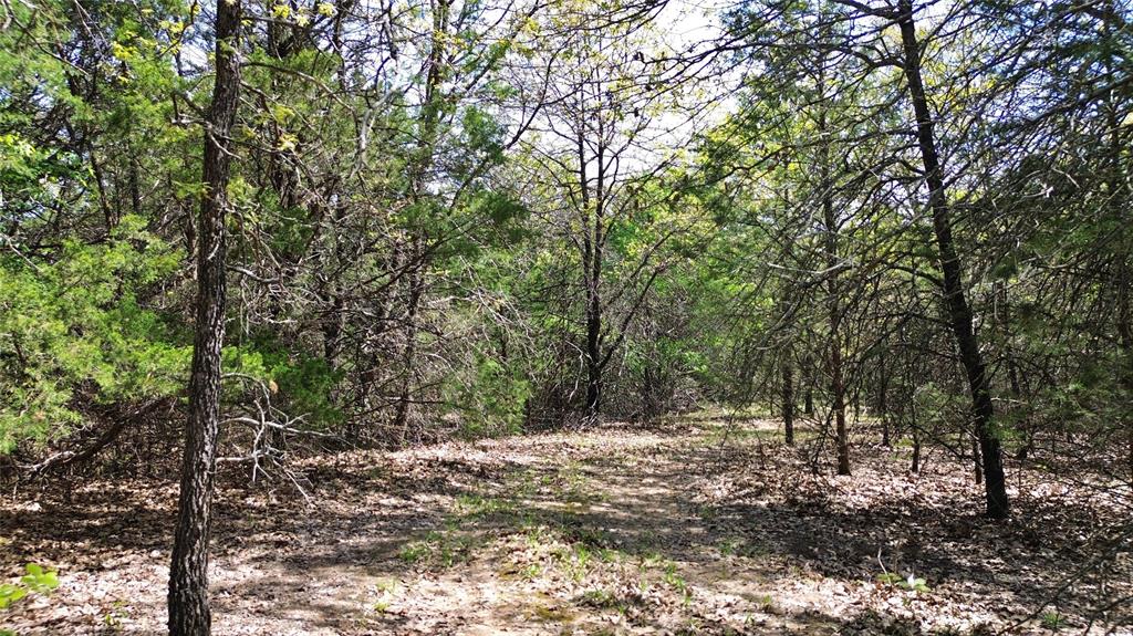 T Thomas 1240 - Land