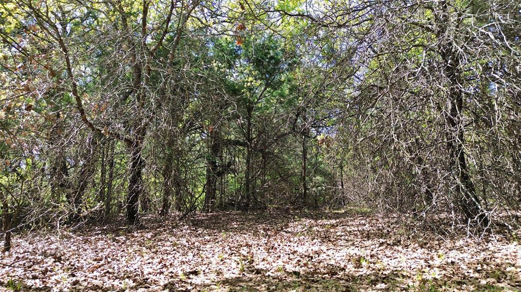 T Thomas 1240 - Land