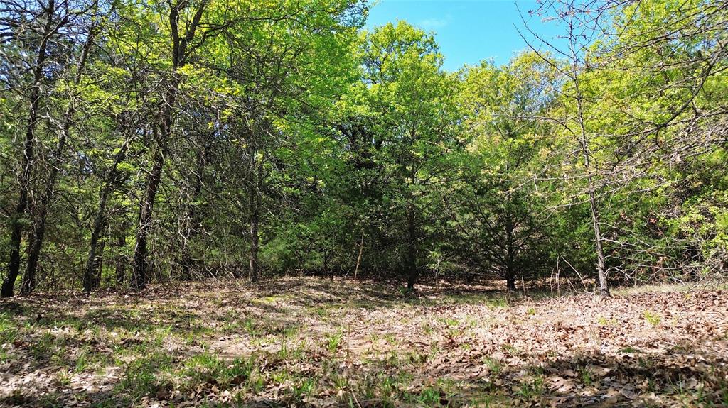 T Thomas 1240 - Land