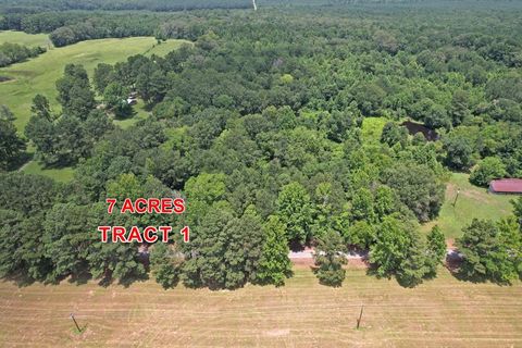 Photo of Tract 1 County Road 3117, Clarksville, TX 75426 (MLS # 21330563)
