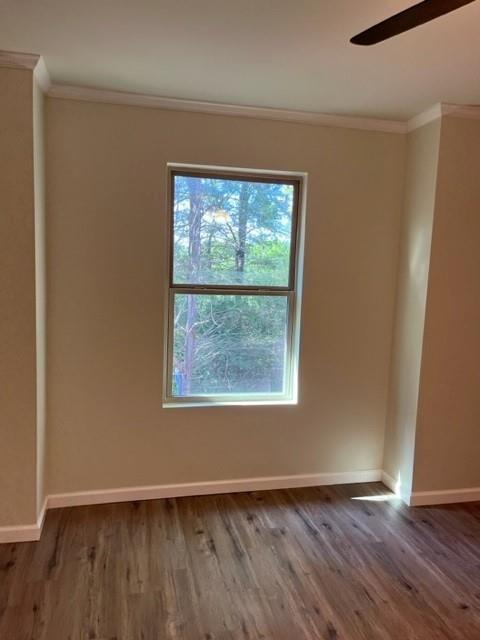 City Of Paris - Residential Lease