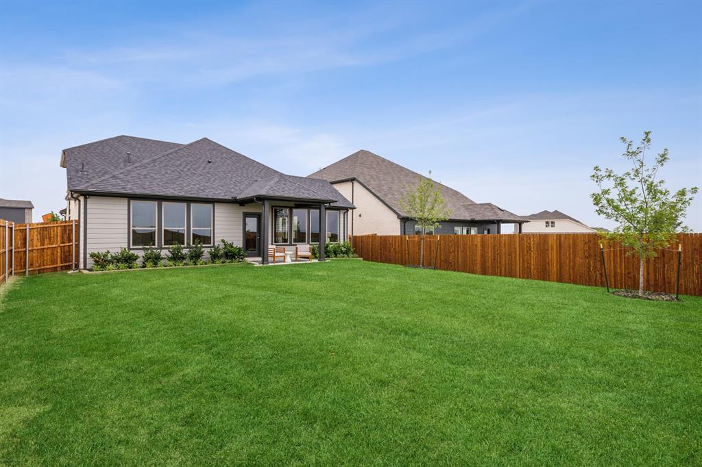 Painted Tree - Residential