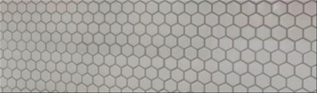 Palmilla Springs - Residential