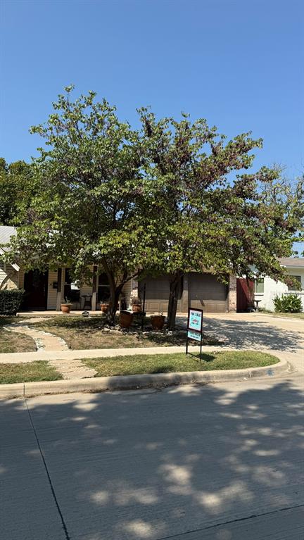 1206 Milam Way