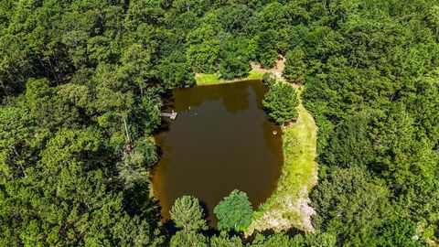 Tiny photo for 19359 Forest Road 219, Richards, TX 77873 (MLS # 21342015)