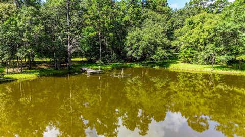 Tiny photo for 19359 Forest Road 219, Richards, TX 77873 (MLS # 21342015)