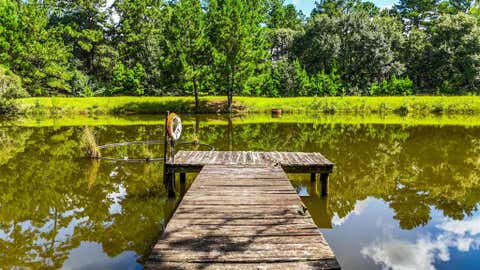 Tiny photo for 19359 Forest Road 219, Richards, TX 77873 (MLS # 21342015)