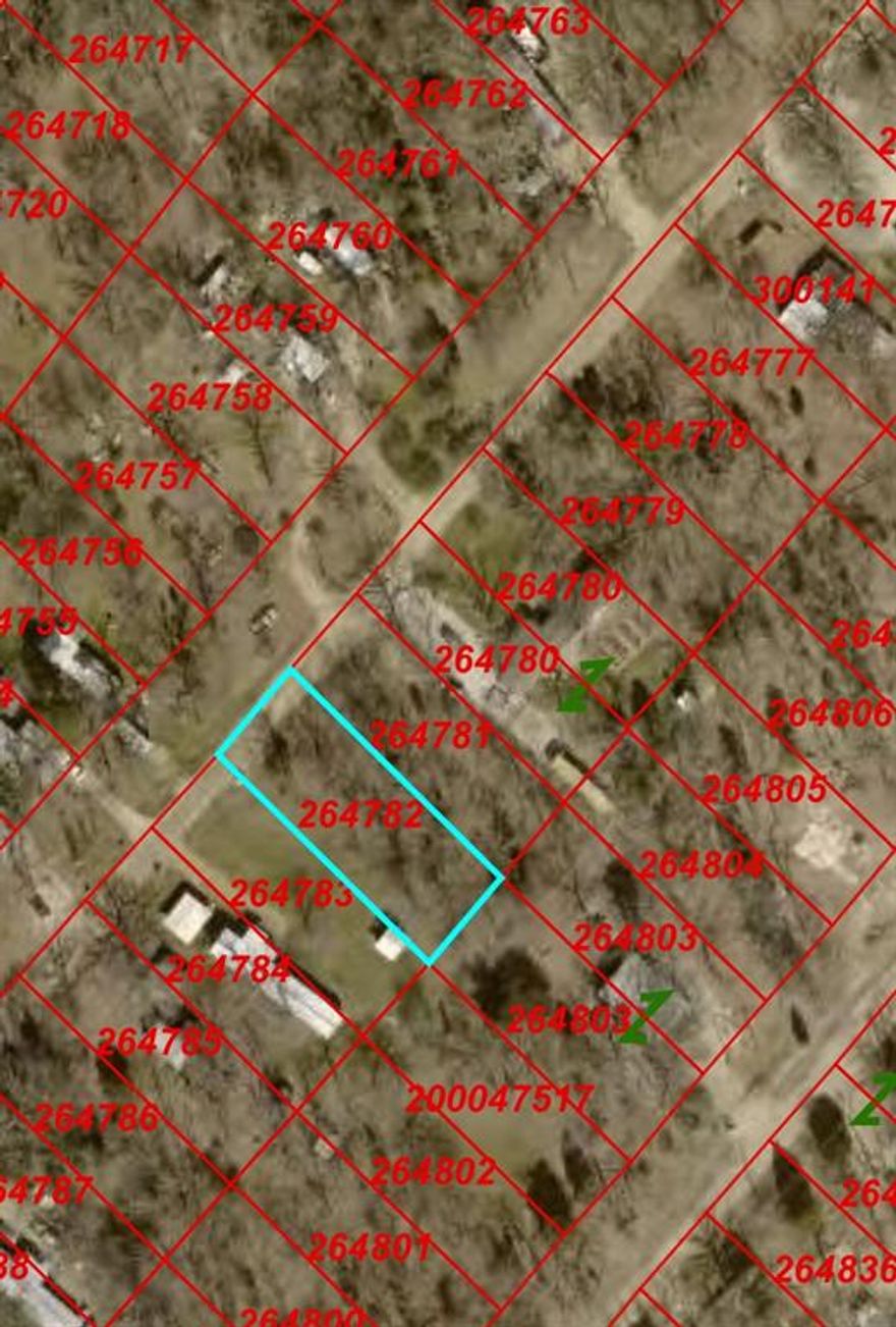 Great opportunity to purchase a buildable lot in Henderson County! This property can be purchased individually or bundled with additional available lots for investors looking to expand their portfolio. The lot features a level layout with scattered mature trees, creating a beautiful setting for a future homesite or a long-term hold. Located within an established subdivision, it offers a peaceful, rural atmosphere while remaining conveniently accessible to nearby highways, towns, and Cedar Creek Lake. Owner financing is available, making this an excellent opportunity for buyers seeking flexible purchase options.