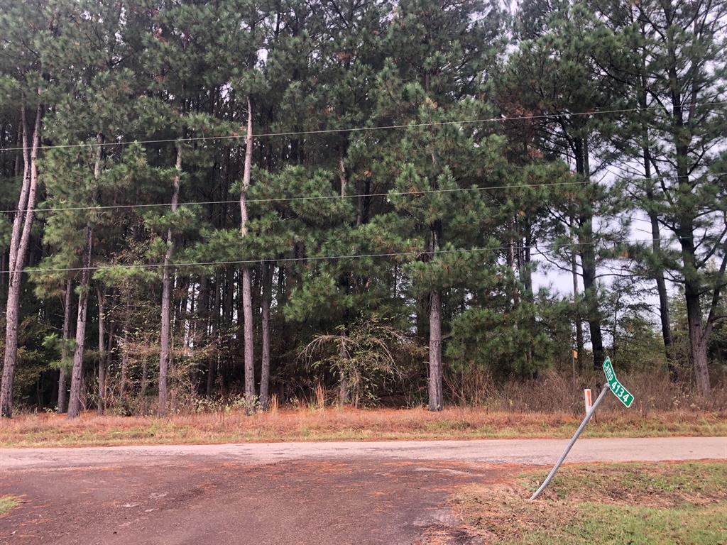 Joy Johnson Final Plat - Land