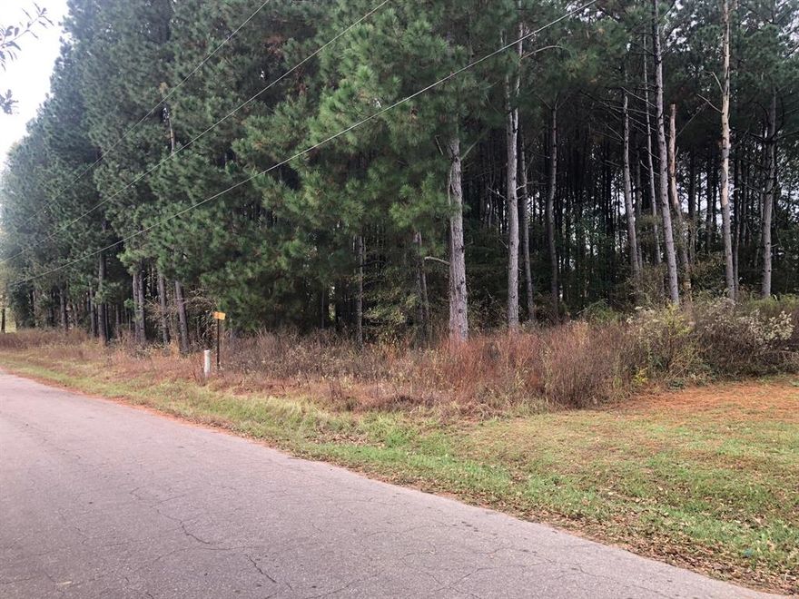 PRICE REDUCED, Seller is ready. This almost one-acre lot is a peaceful, wooded oasis located just a short distance from the heart of town. Surrounded by mature trees, it offers both privacy and natural beauty, with ample space for outdoor activities, gardening, or simply enjoying the outdoors. Despite the rural feel, it’s conveniently close to shopping areas, restaurants, schools, and other essential city amenities, making it ideal for those who want the best of both worlds. It’s the perfect spot for building your dream home, offering a peaceful retreat while remaining within easy reach of town amenities.