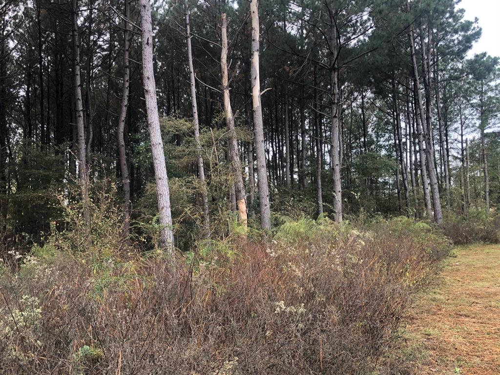 Joy Johnson Final Plat - Land