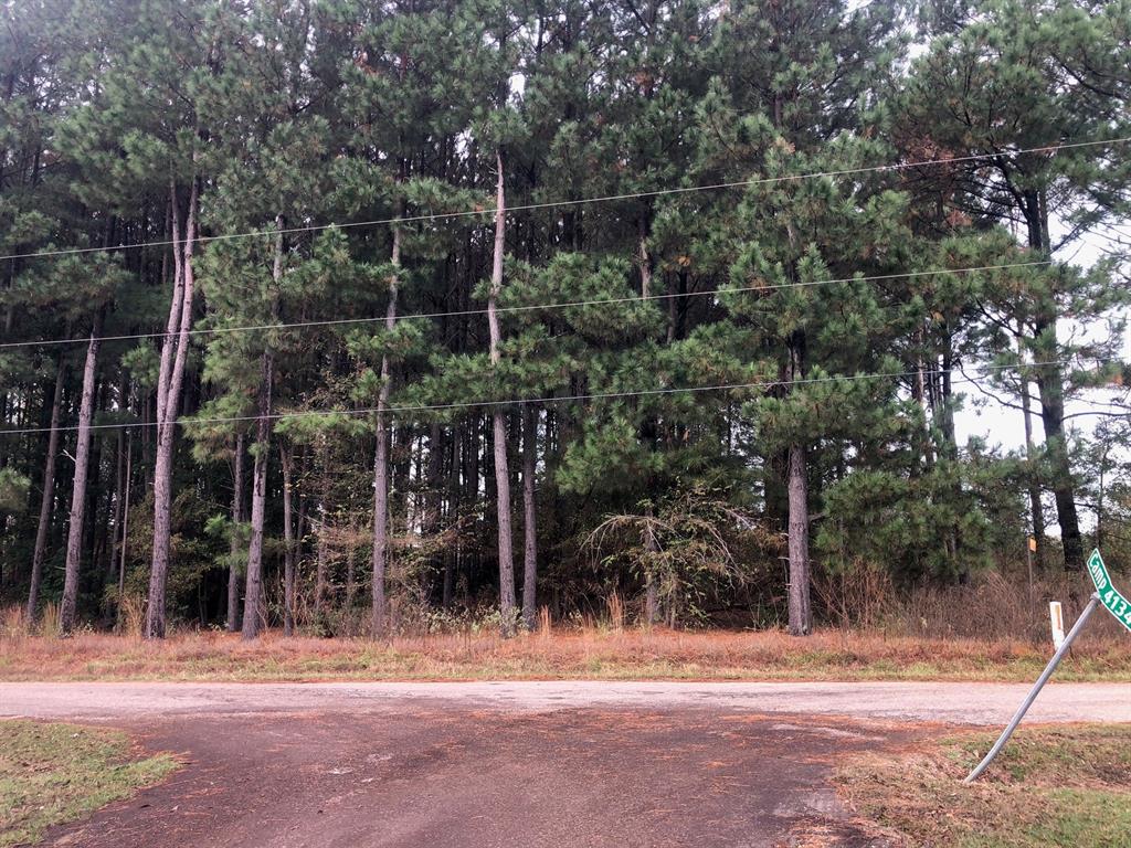 Joy Johnson Final Plat - Land