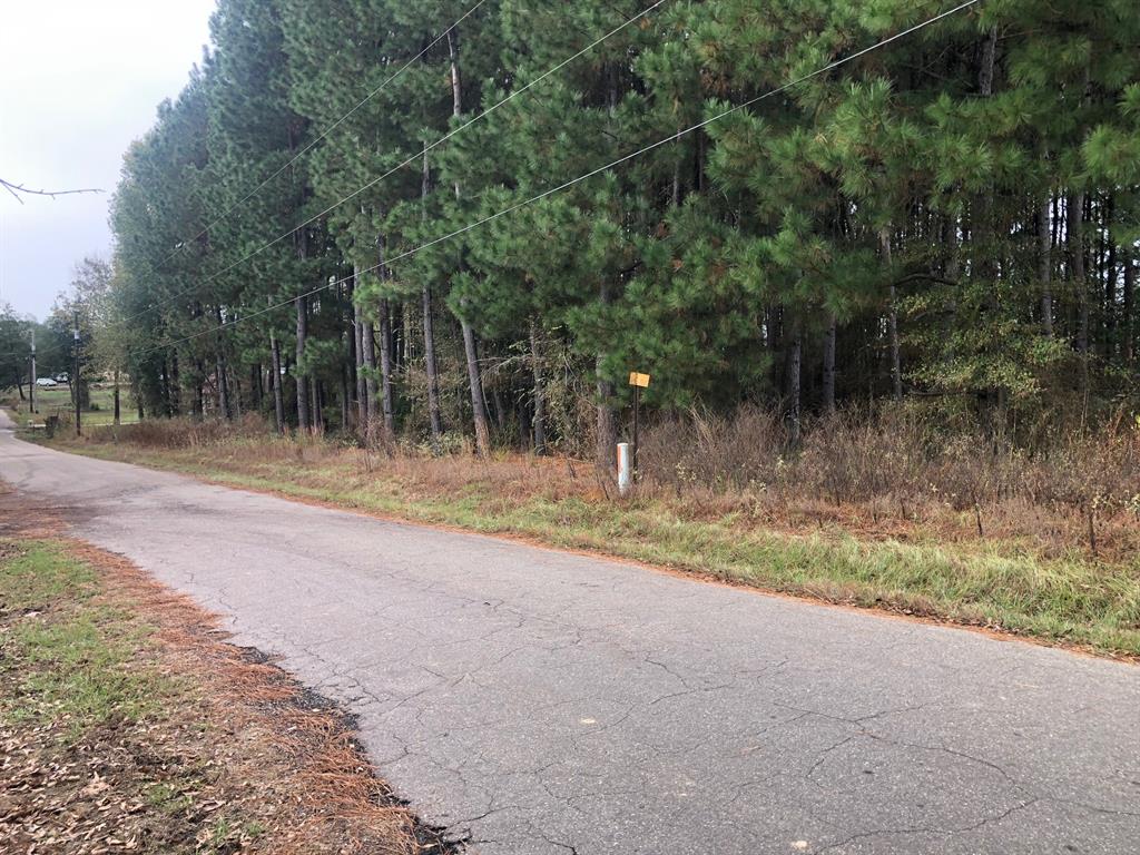 Joy Johnson Final Plat - Land