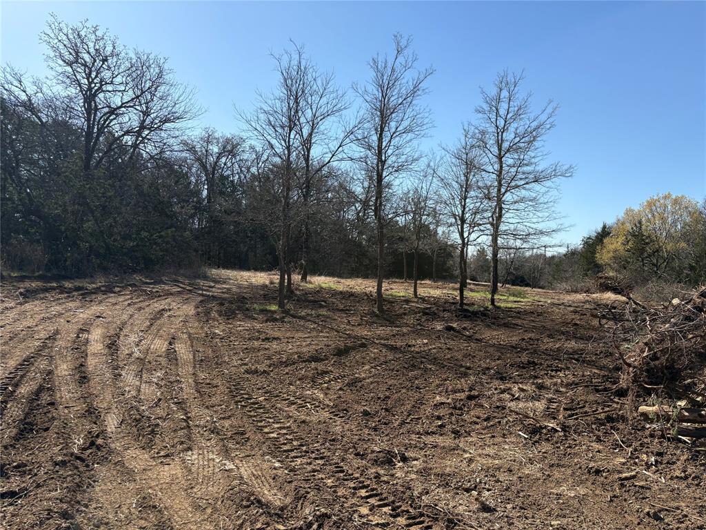 G-1241 TOBY THOMAS A- G1241 - Land