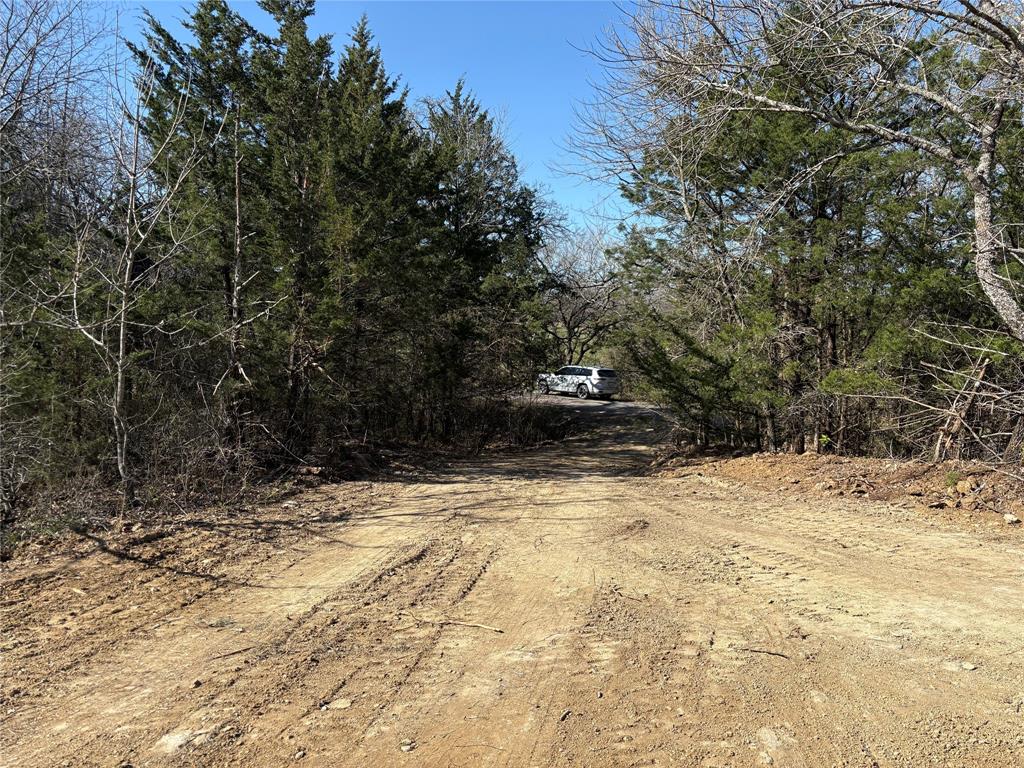 G-1241 TOBY THOMAS A- G1241 - Land