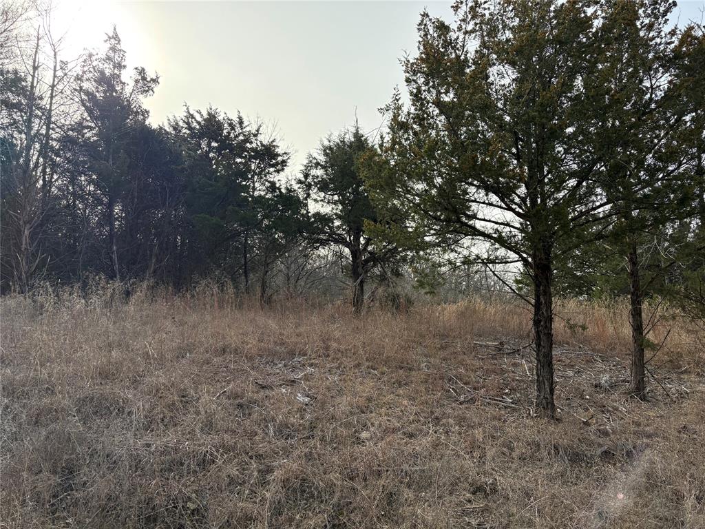 G-1241 TOBY THOMAS A- G1241 - Land