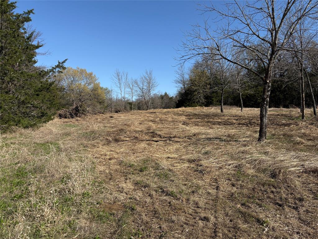 G-1241 TOBY THOMAS A- G1241 - Land