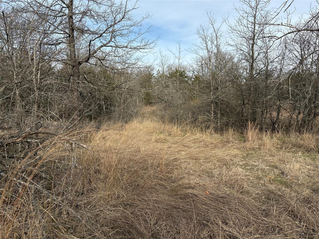 G-1241 TOBY THOMAS A- G1241 - Land