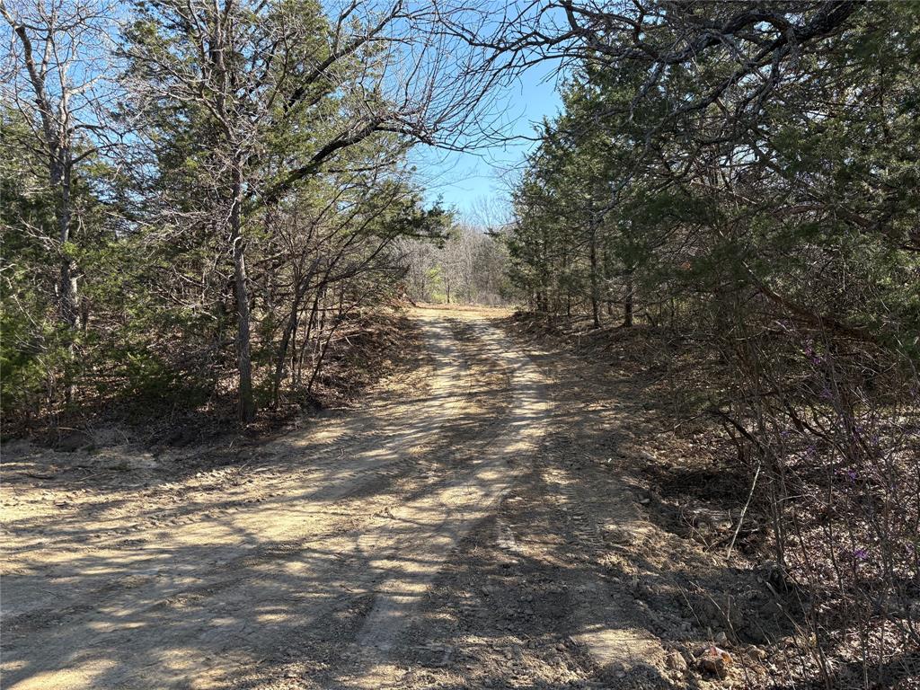 G-1241 TOBY THOMAS A- G1241 - Land