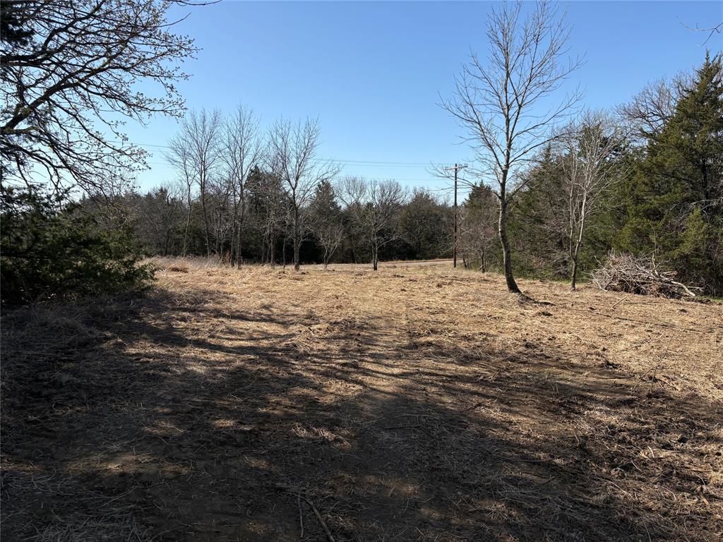 G-1241 TOBY THOMAS A- G1241 - Land