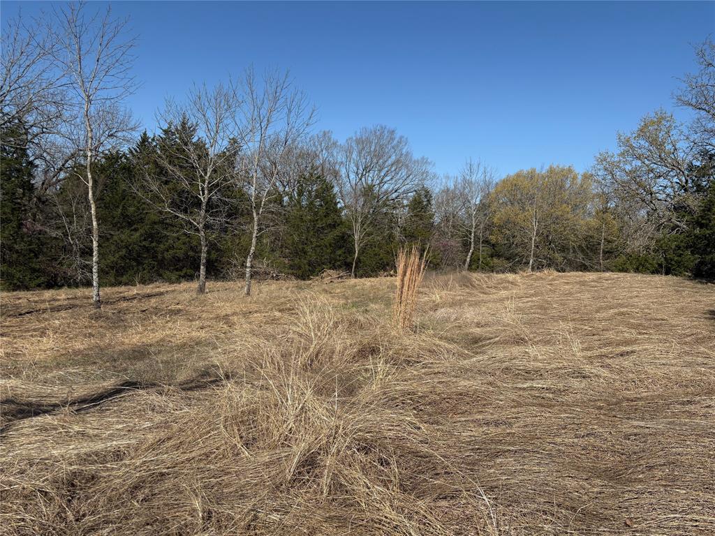 G-1241 TOBY THOMAS A- G1241 - Land