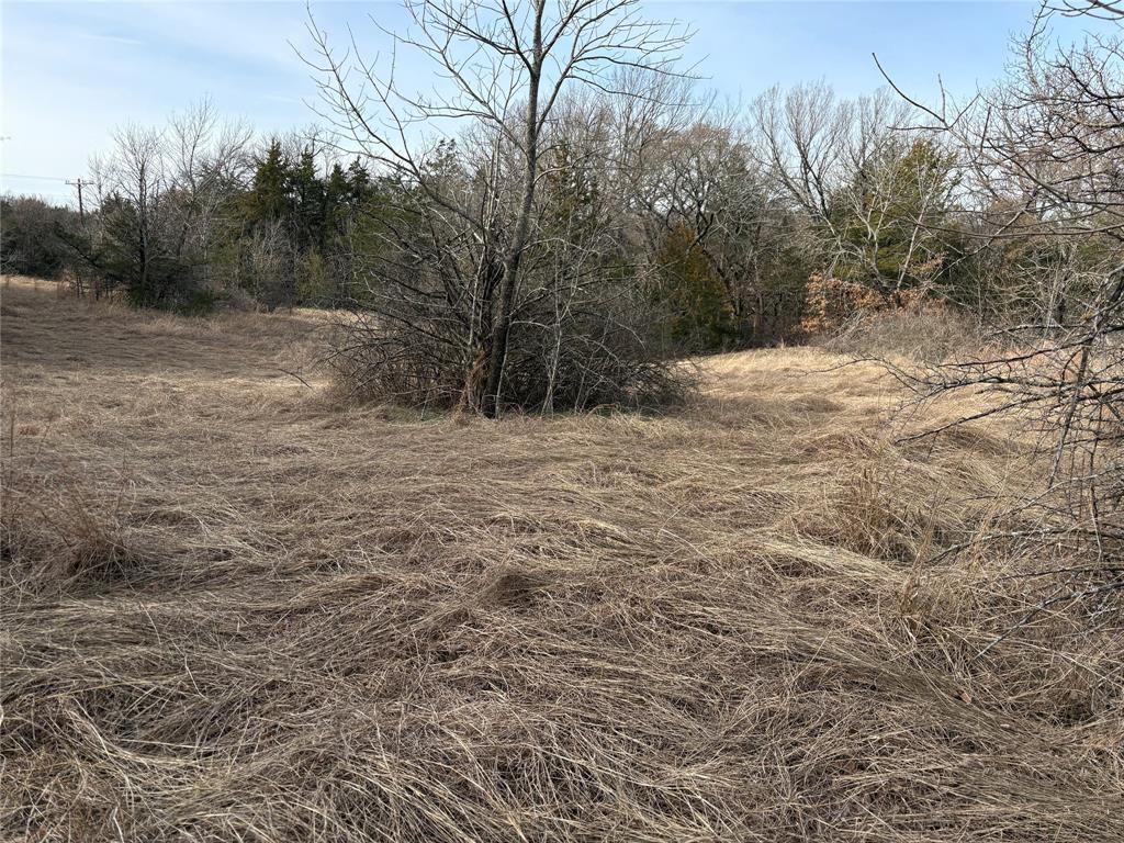 G-1241 TOBY THOMAS A- G1241 - Land