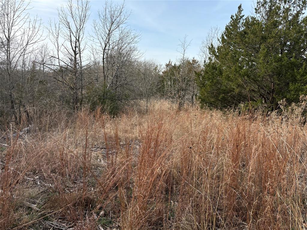 G-1241 TOBY THOMAS A- G1241 - Land