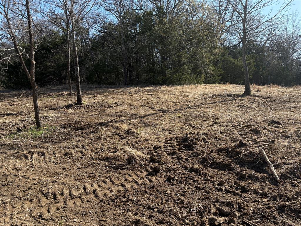 G-1241 TOBY THOMAS A- G1241 - Land