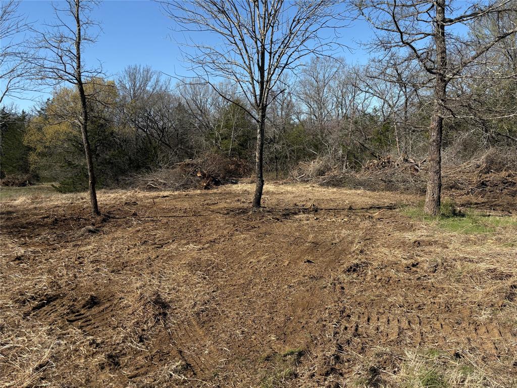 G-1241 TOBY THOMAS A- G1241 - Land